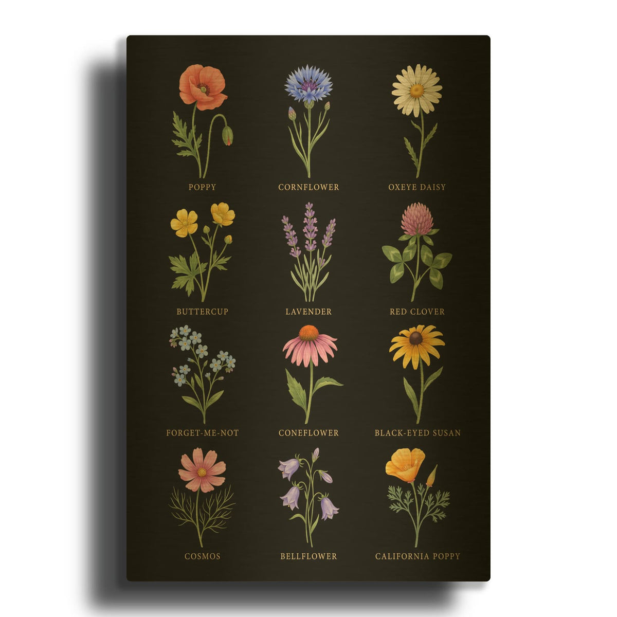 'Meadow Treasures - Wildflower Collection' By Veve Gold Metal Wall Art