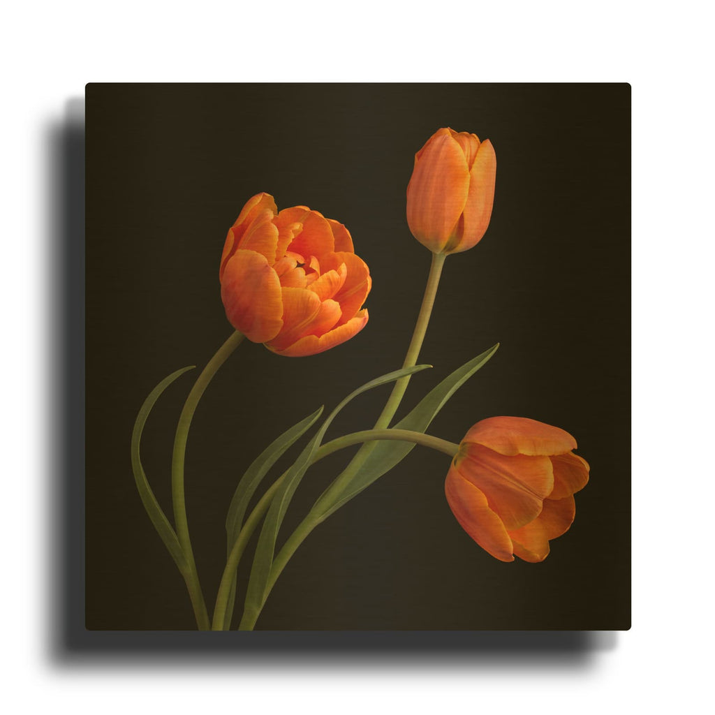 'Orange Tulips' By Veve Gold Metal Wall Art