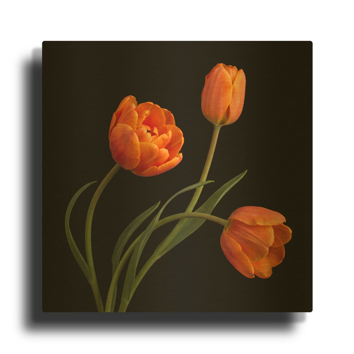 'Orange Tulips' By Veve Gold Metal Wall Art