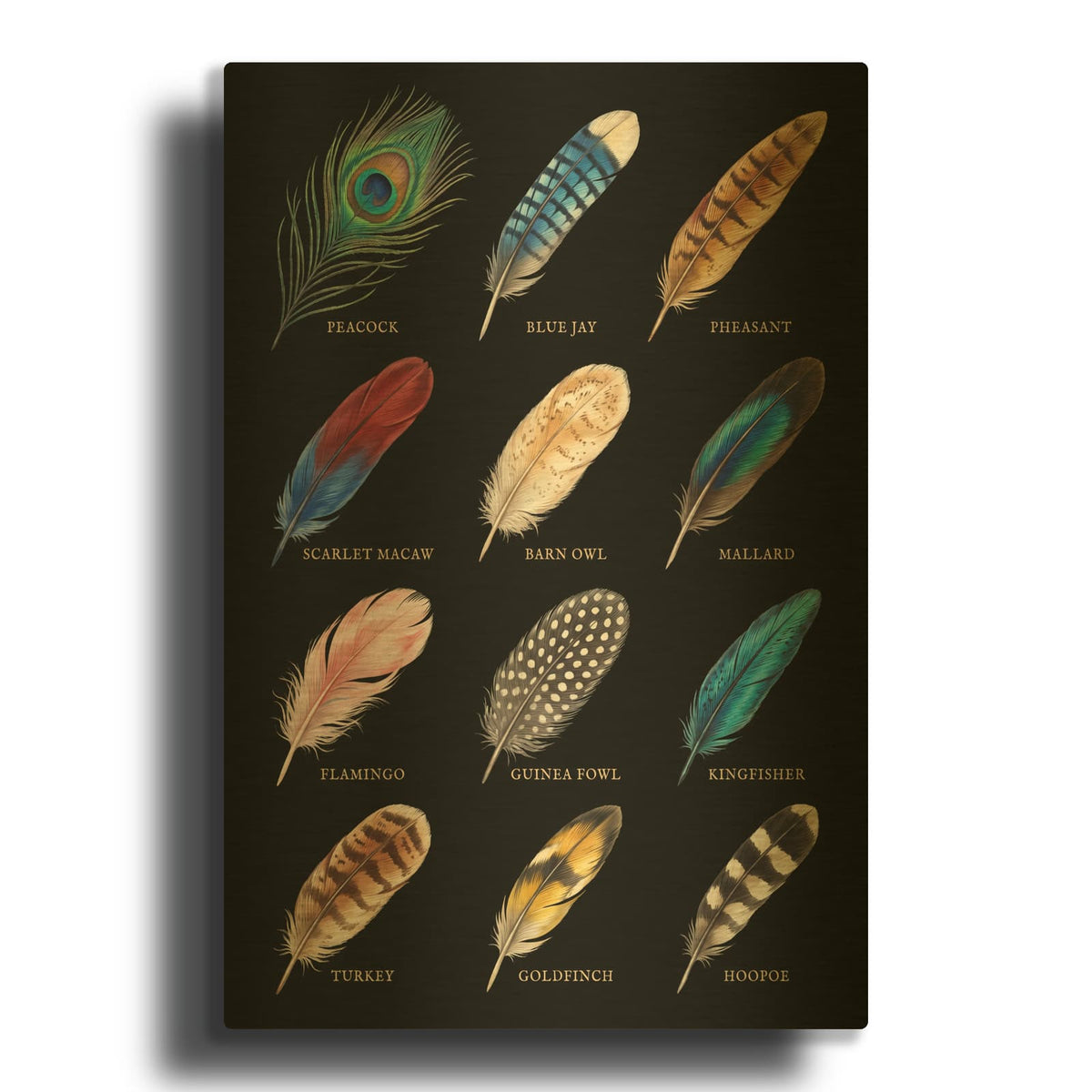 'Plumes of Color - Feather Collection' By Veve Gold Metal Wall Art