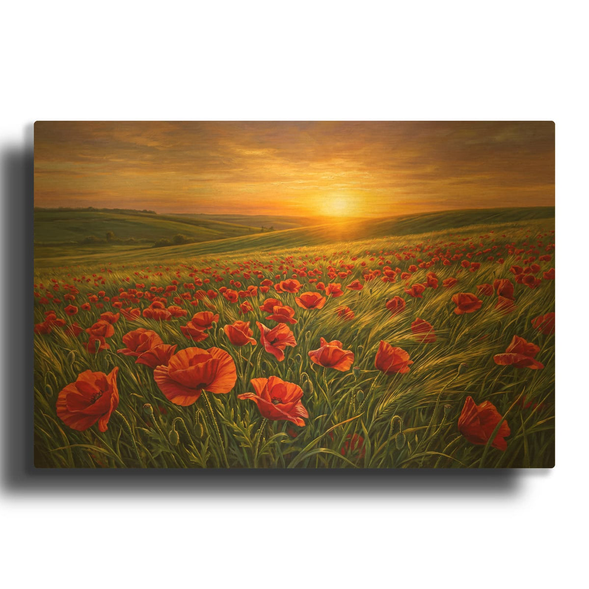 'Windblown Poppy Field' By Veve Gold Metal Wall Art