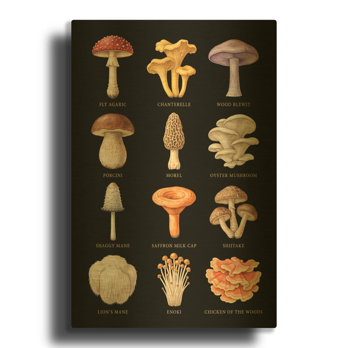 'Woodland Treasures - Mushroom Collection' By Veve Gold Metal Wall Art
