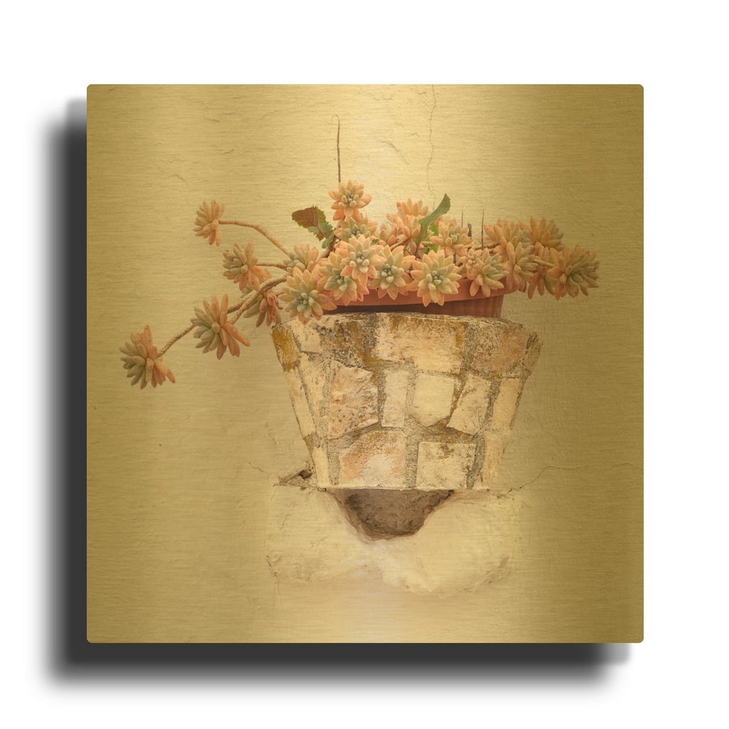 'Italy - Trailing Golden Sedum in a Wall Planter' Gold Metal Wall Art