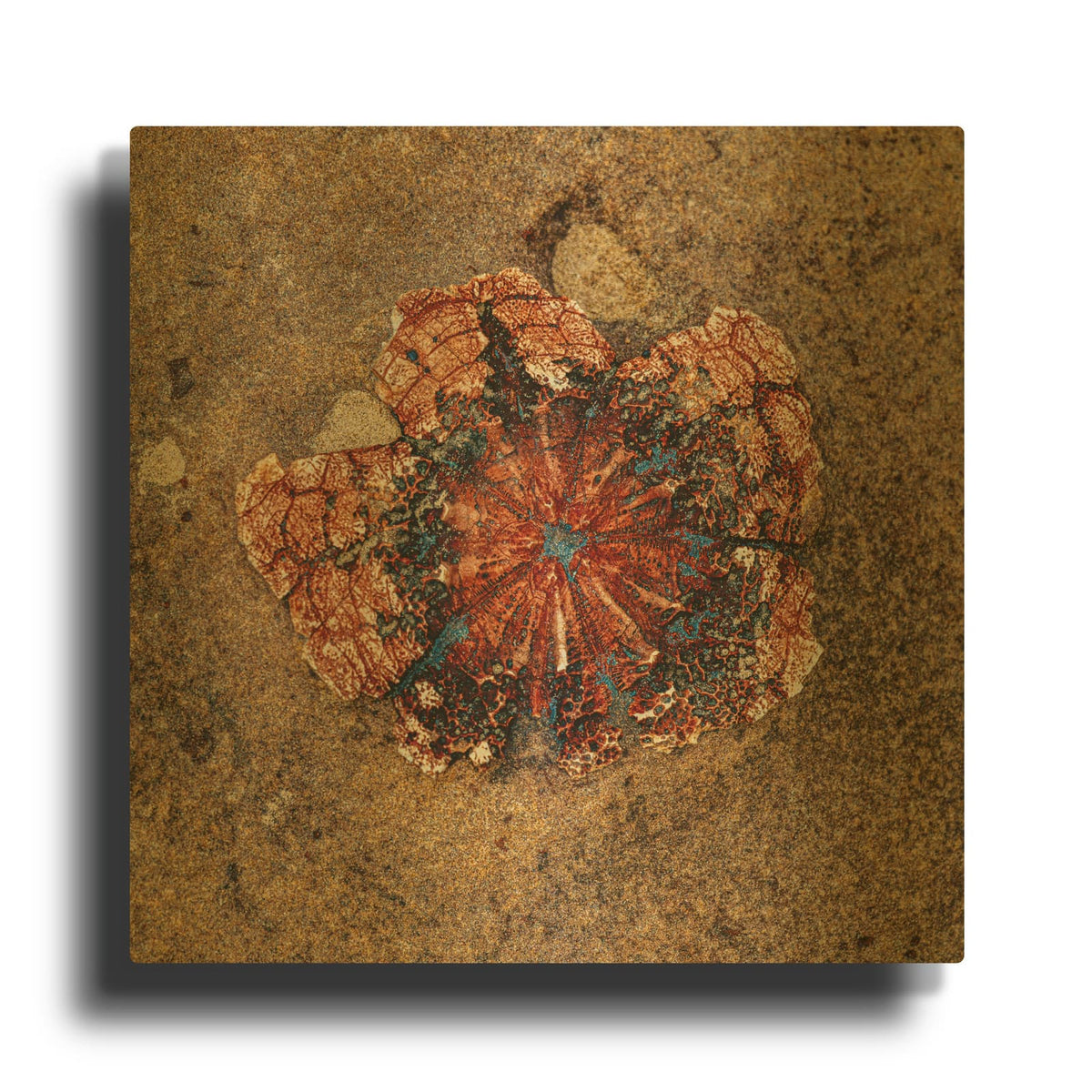 'Taiwan Coast - Ocean Mandala' Gold Metal Wall Art