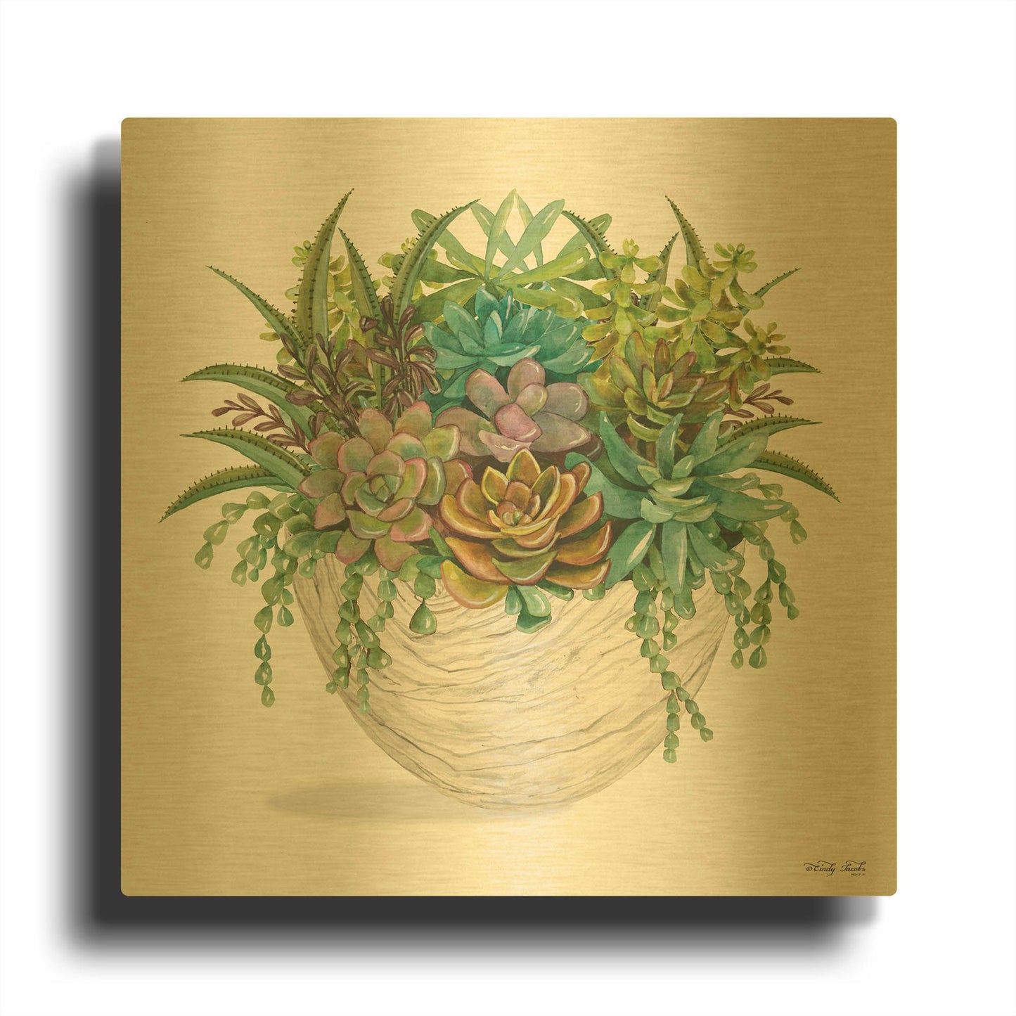 'White Wood Succulent II' By Cindy Jacobs Gold Metal Wall Art