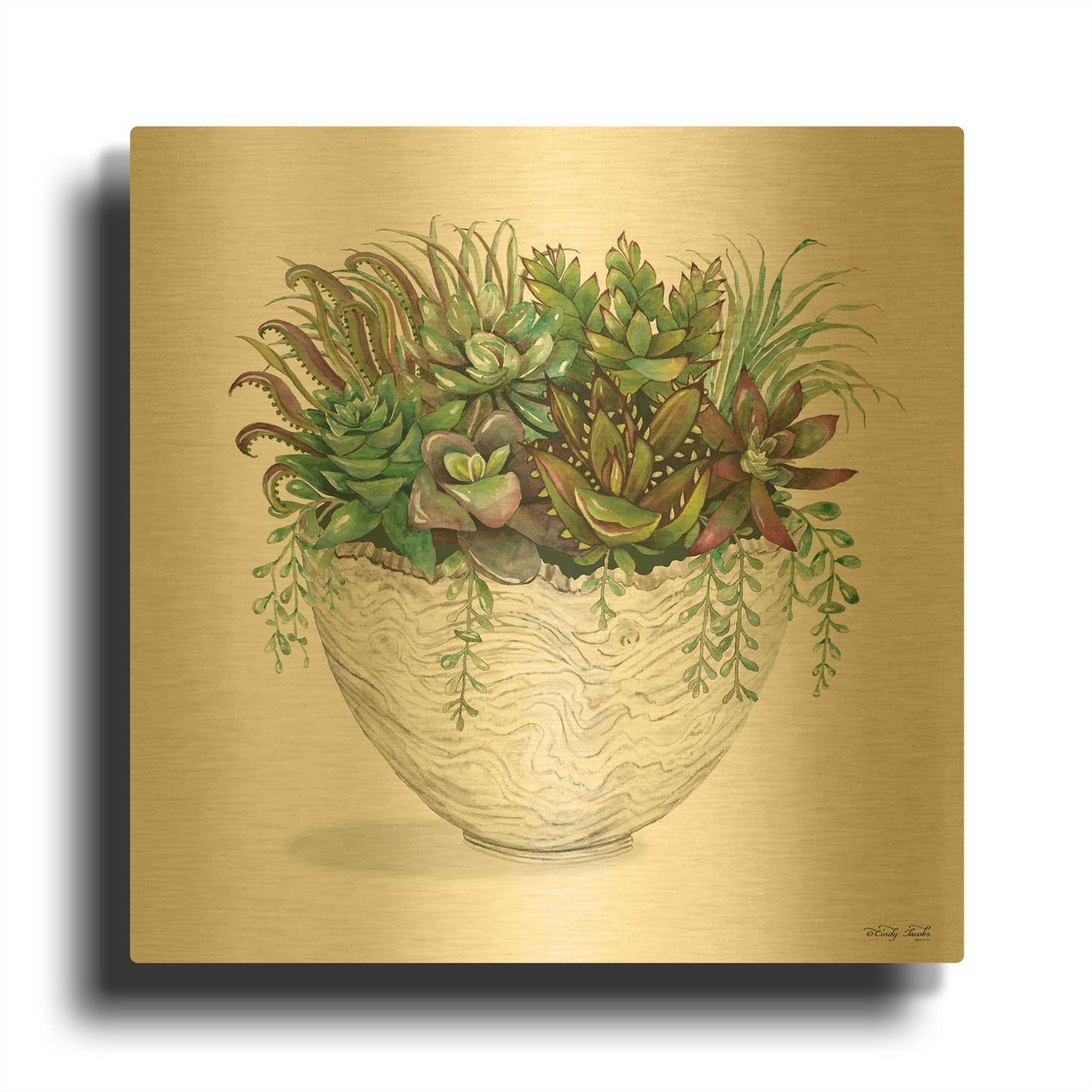 'White Wood Succulent III' By Cindy Jacobs Gold Metal Wall Art