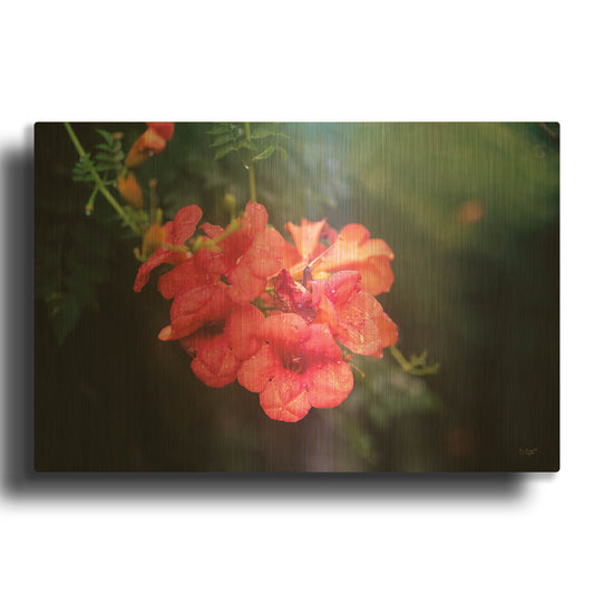'Summer Rain' By Donnie Quillen Gold Metal Wall Art