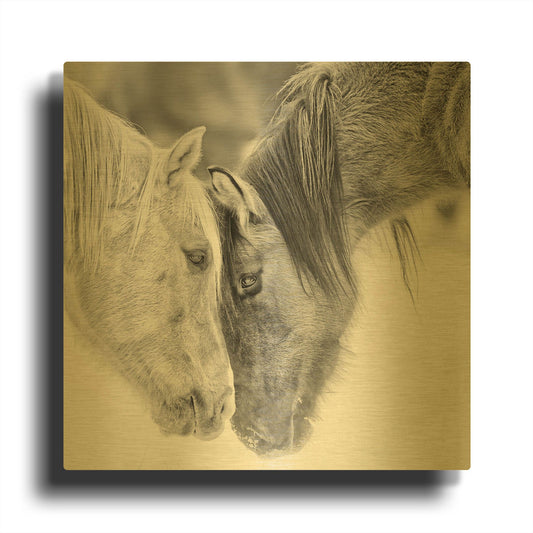 'BandW Horses VII' By PH Burchett Gold Metal Wall Art