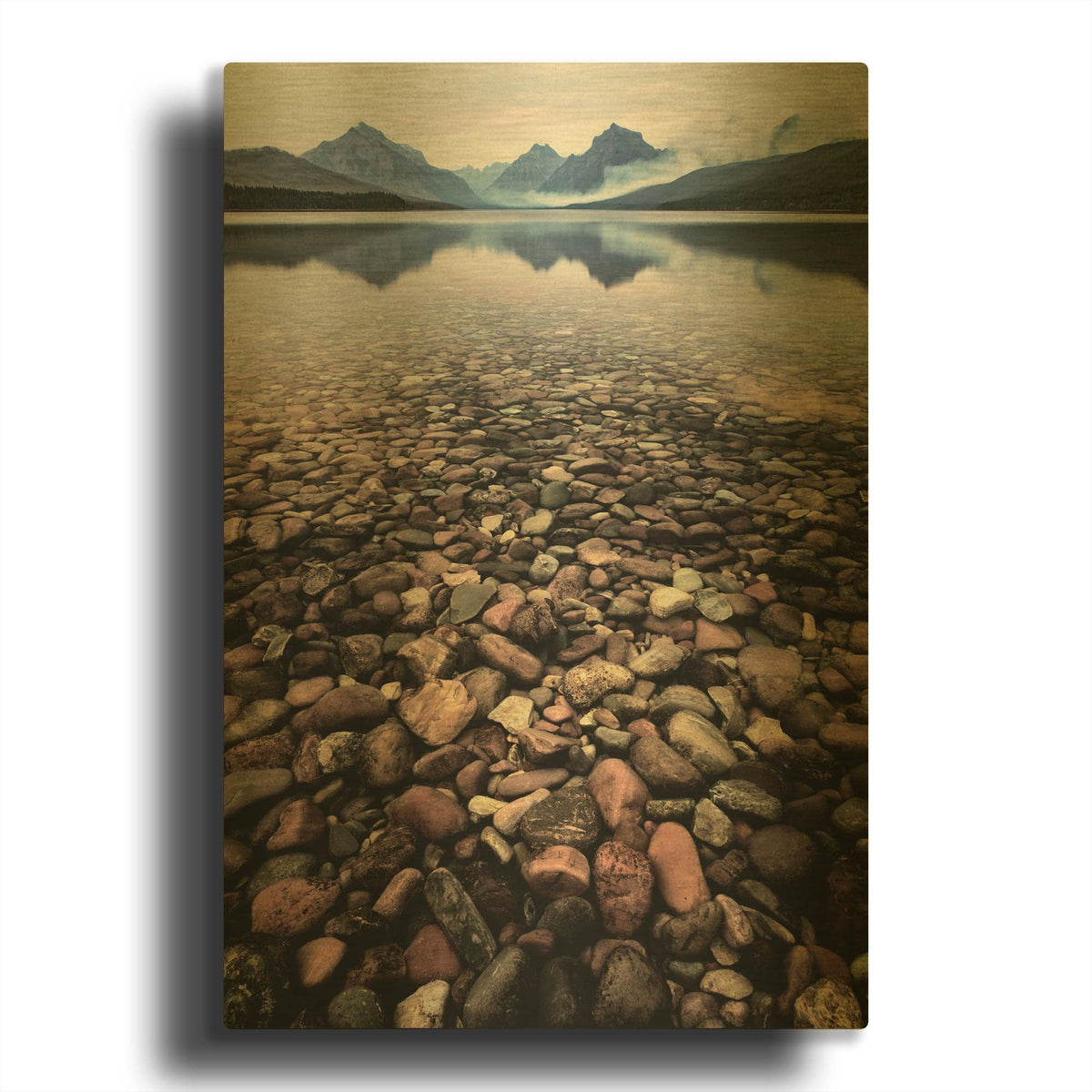 'Wild I' By PH Burchett Gold Metal Wall Art