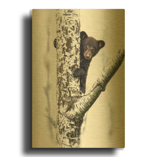 'Bears at Play V' By PH Burchett Gold Metal Wall Art