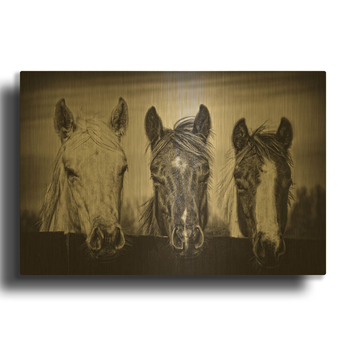 'Three Amigos I' By PH Burchett Gold Metal Wall Art