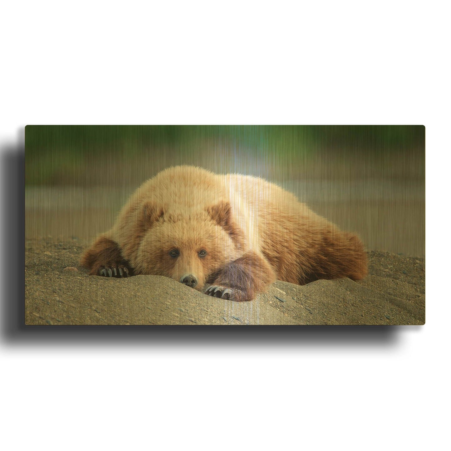 'Bear Life X' By PH Burchett Gold Metal Wall Art