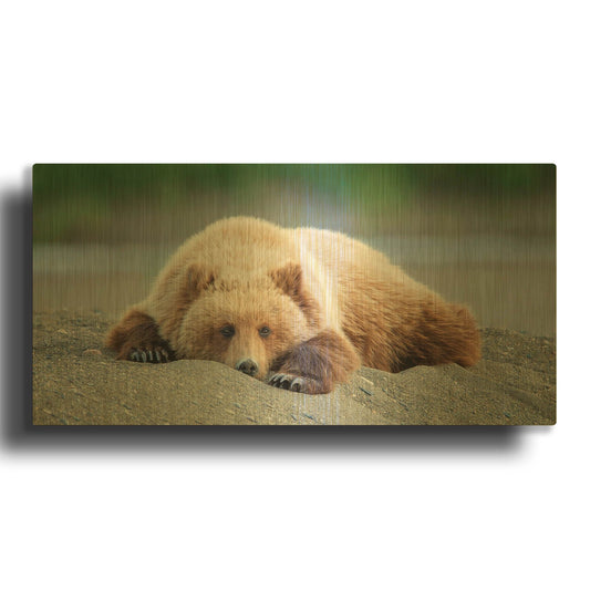 'Bear Life X' By PH Burchett Gold Metal Wall Art