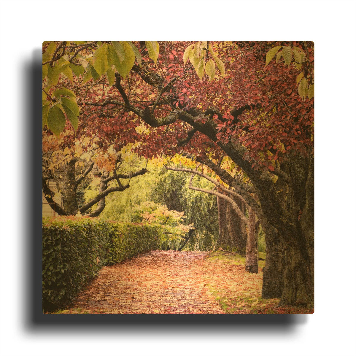 'Golden Signal' By Colby Chester Gold Metal Wall Art