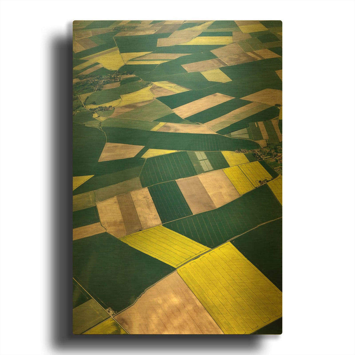 'Geometric Glow' By Colby Chester Gold Metal Wall Art