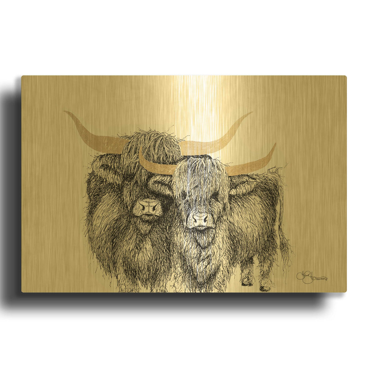 'Highland Cattle' By Hollihocks Art Gold Metal Wall Art