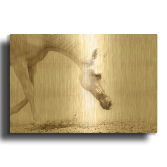 'Trail Horse Sepia' By Kari Brooks Gold Metal Wall Art