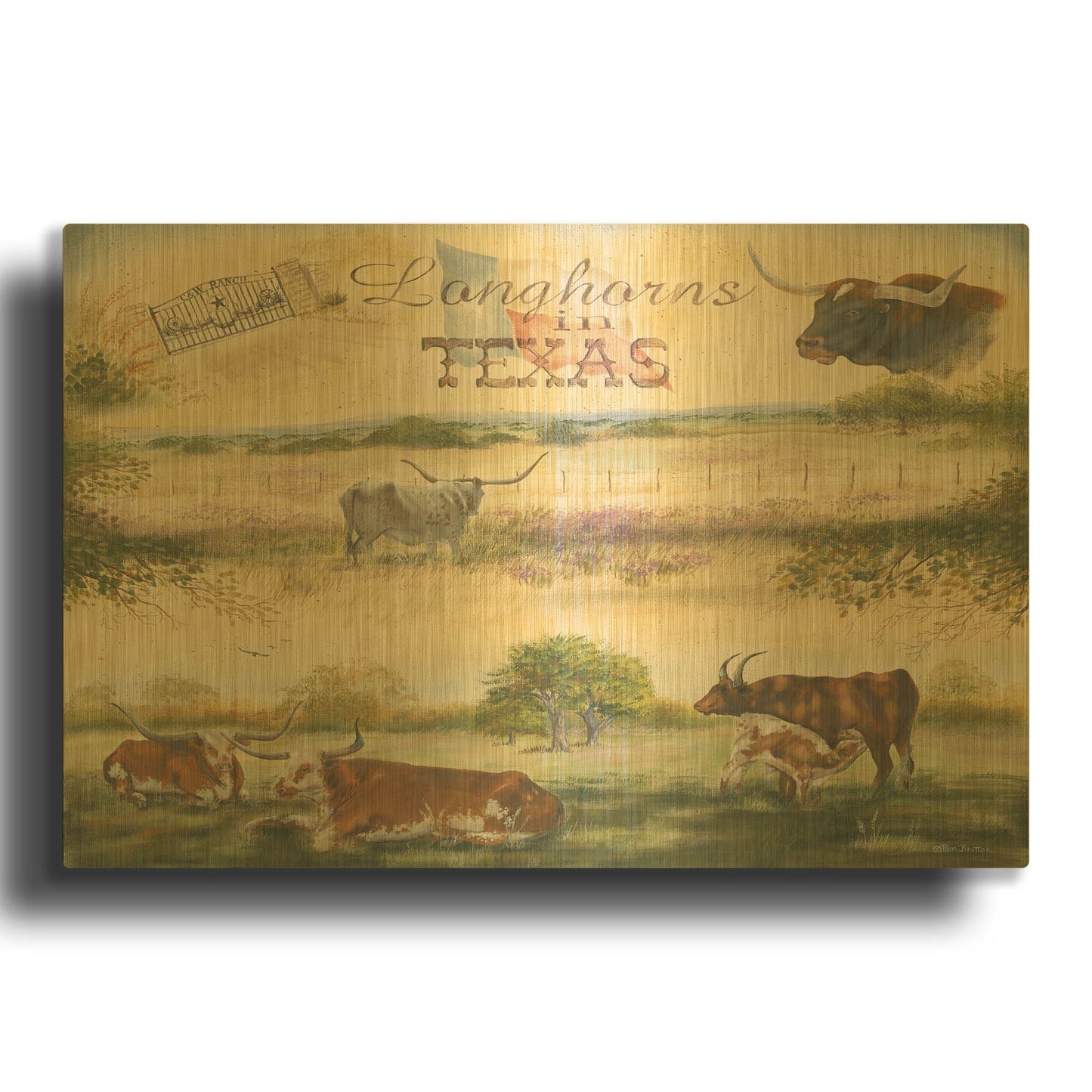 'Texas Collision V' By Pam Britton Gold Metal Wall Art