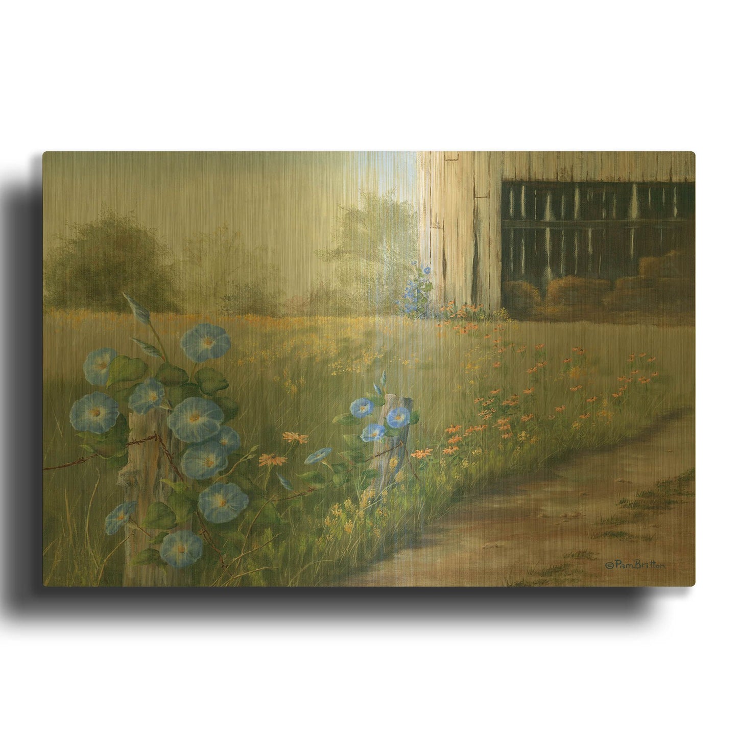 'Morning Glories & Hay Barn' By Pam Britton Gold Metal Wall Art