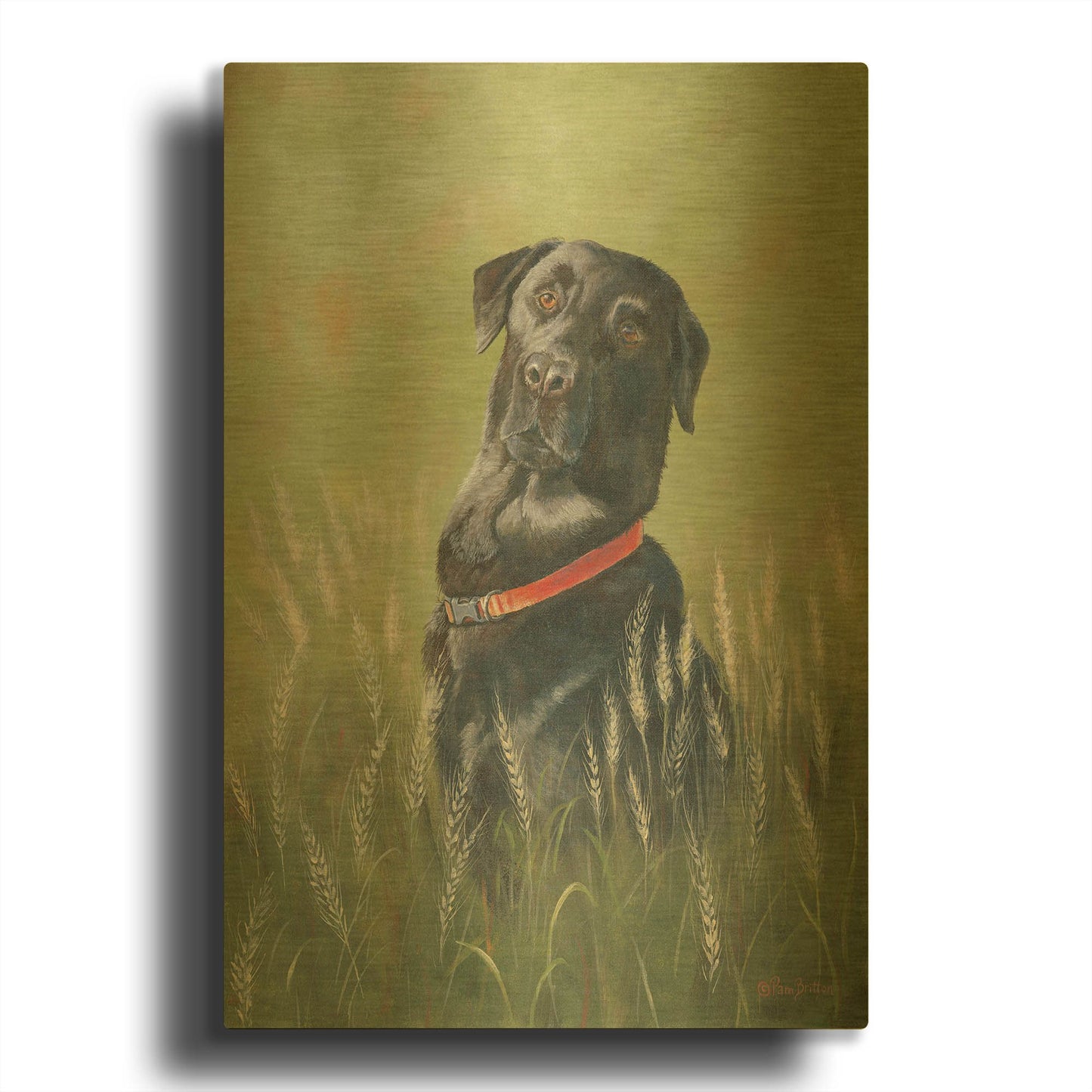 'Max' By Pam Britton Gold Metal Wall Art
