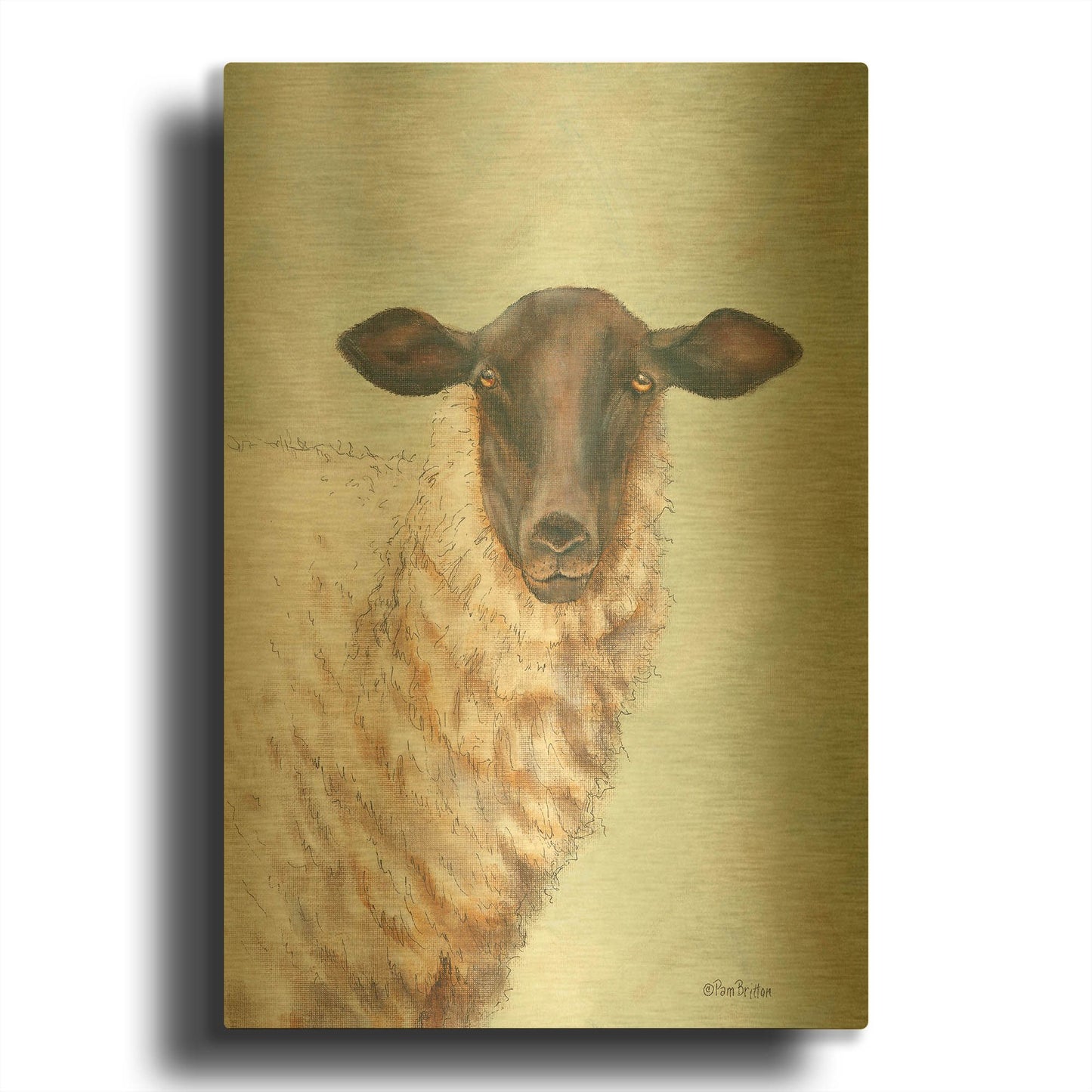 'Farm Sheep' By Pam Britton Gold Metal Wall Art