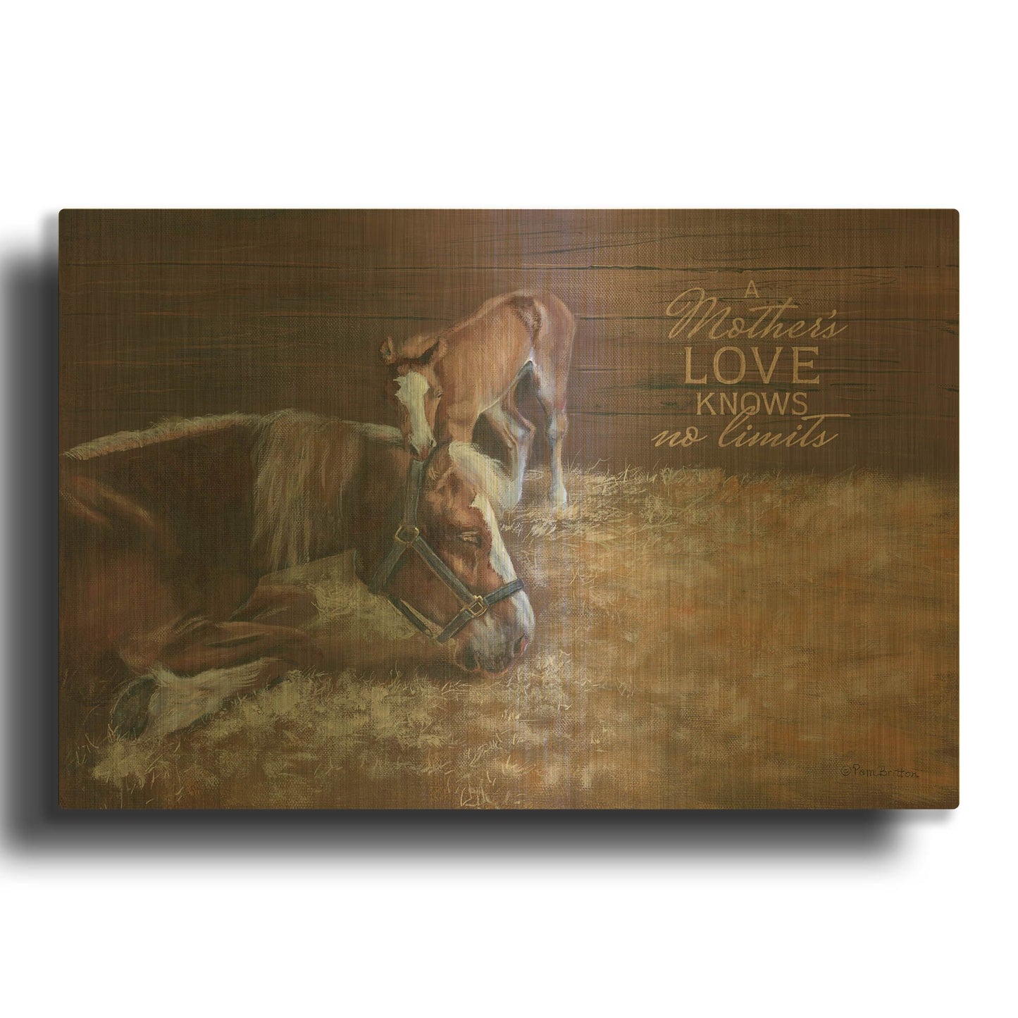 'A Mother' By Pam Britton Gold Metal Wall Art
