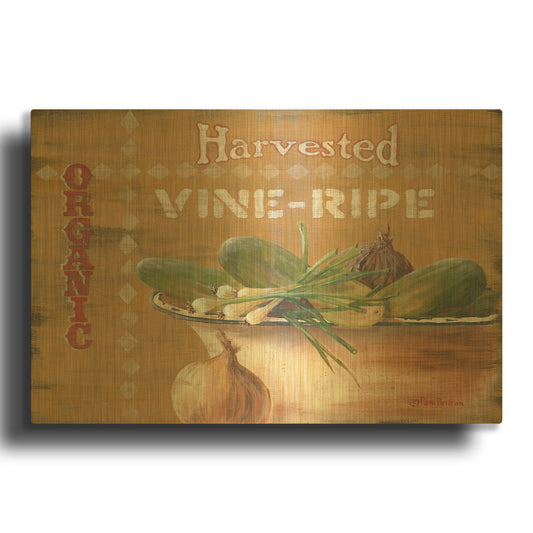'Vine Ripe' By Pam Britton Gold Metal Wall Art