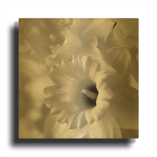 'Florison 45' By Alan Blaustein Gold Metal Wall Art