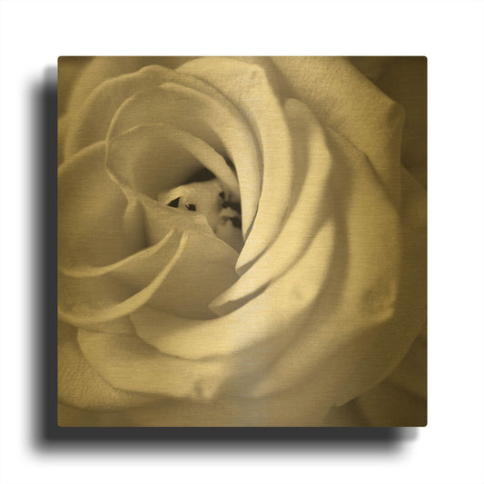 'Florison 43' By Alan Blaustein Gold Metal Wall Art