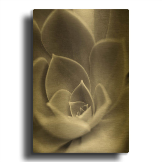 'Florison 25' By Alan Blaustein Gold Metal Wall Art