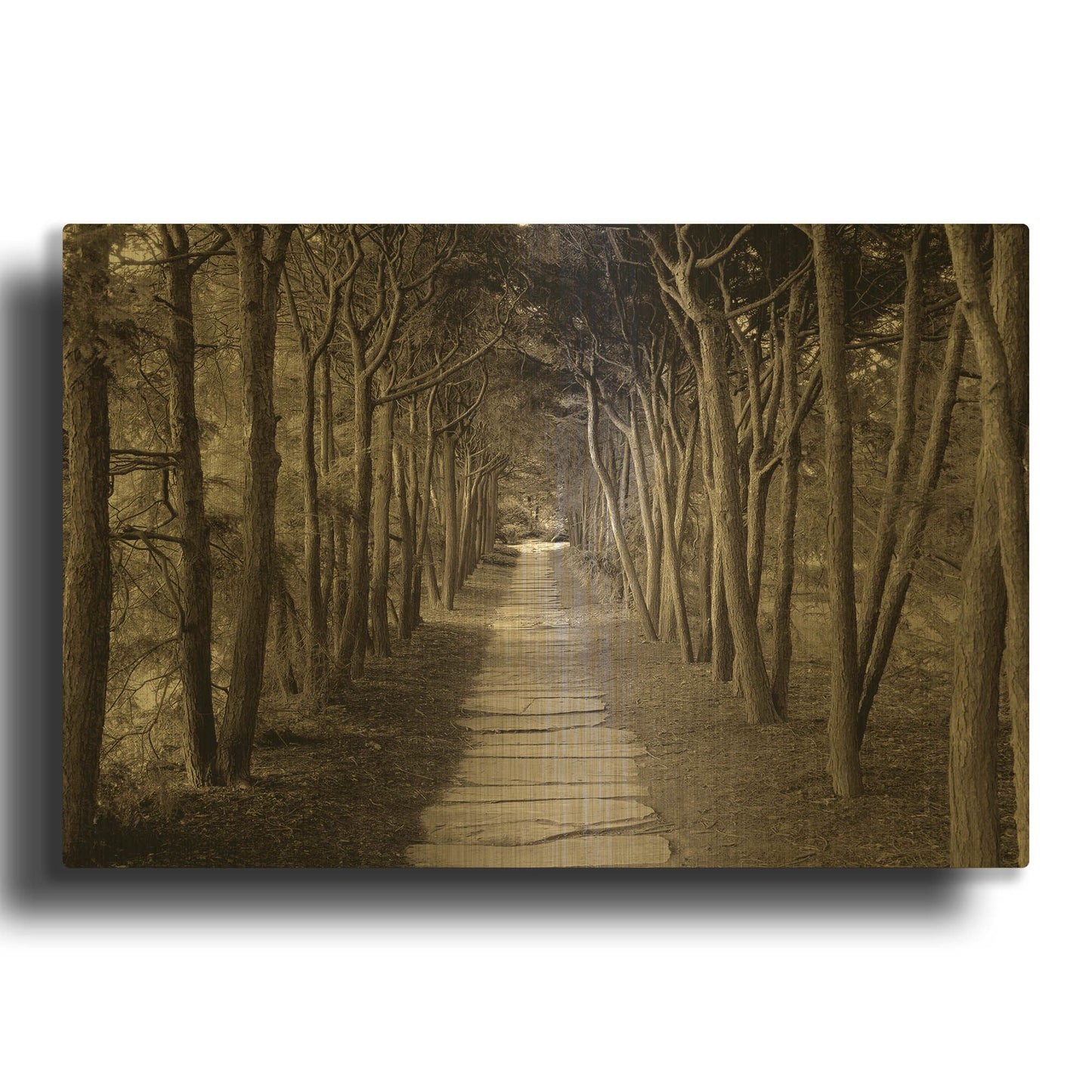 'Banc de Jardin 75' By Alan Blaustein Gold Metal Wall Art