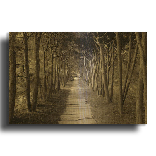 'Banc de Jardin 75' By Alan Blaustein Gold Metal Wall Art