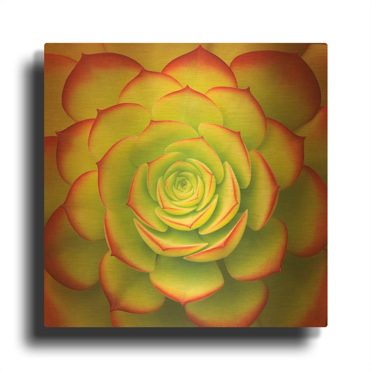 'Fiery Succulent' By Jan Bell Gold Metal Wall Art