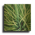 'Grass with Morning Dew' By Jan Bell Gold Metal Wall Art