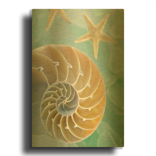 'Seaglass 2' By Alan Blaustein Gold Metal Wall Art