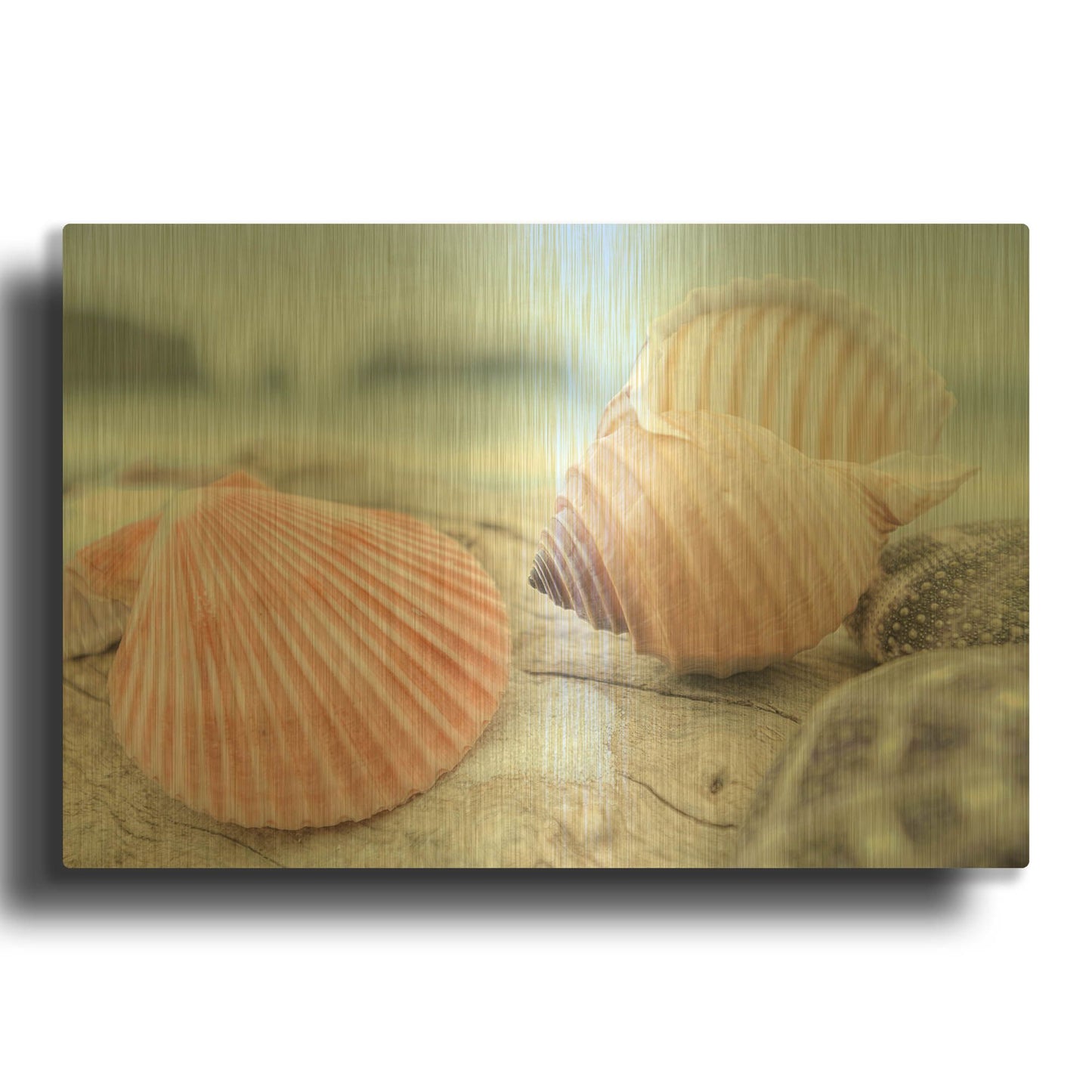 'Crescent Beach Shells 10' By Alan Blaustein Gold Metal Wall Art