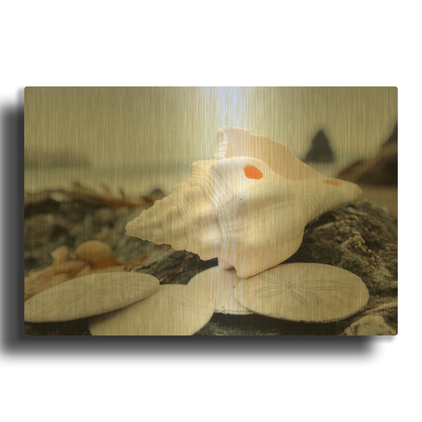 'Crescent Beach Shells 11' By Alan Blaustein Gold Metal Wall Art