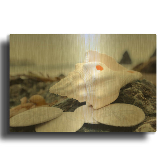'Crescent Beach Shells 11' By Alan Blaustein Gold Metal Wall Art