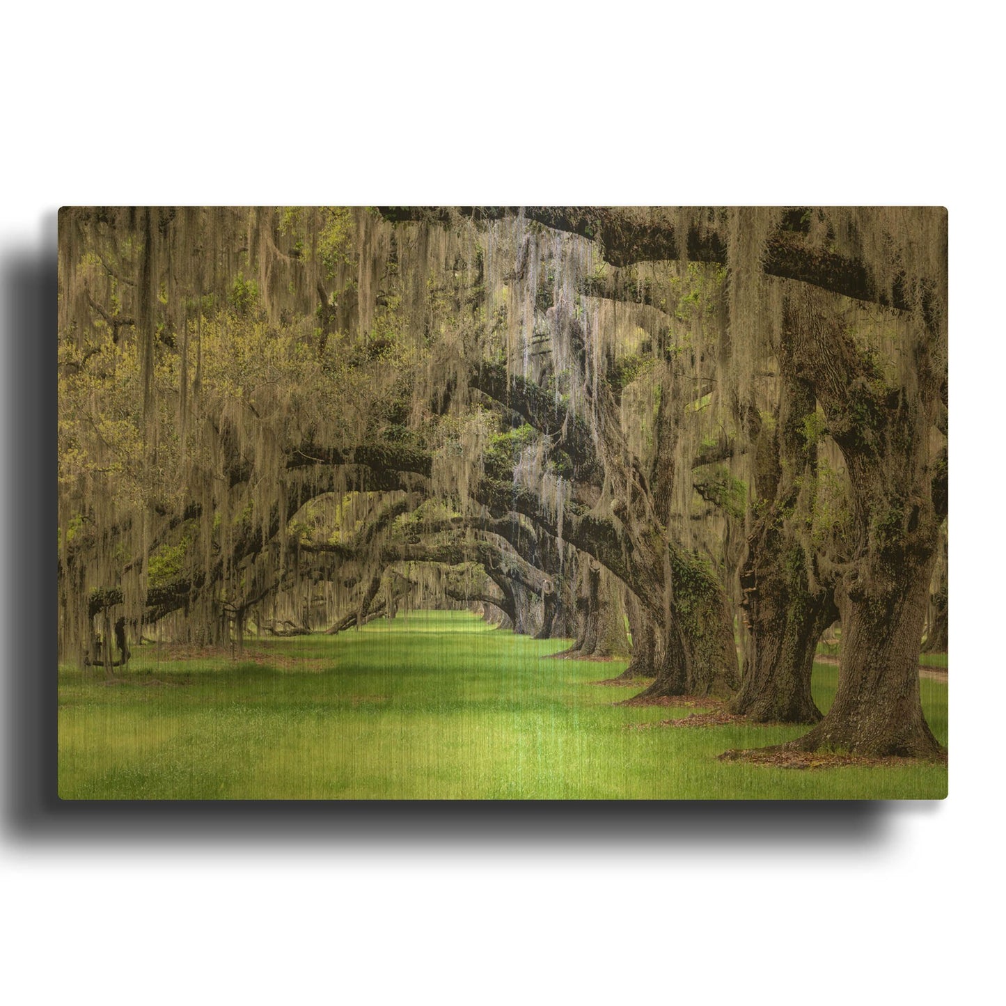 'Hanging to the Left' By Daniel Burt Gold Metal Wall Art