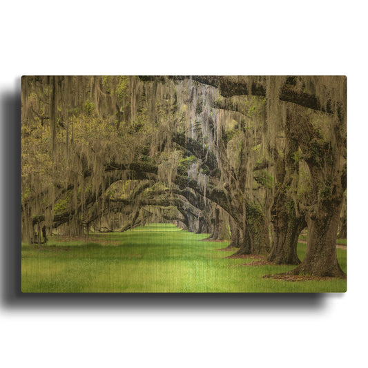 'Hanging to the Left' By Daniel Burt Gold Metal Wall Art