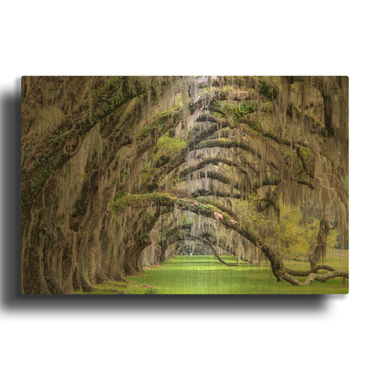 'Hanging to the Right' By Daniel Burt Gold Metal Wall Art