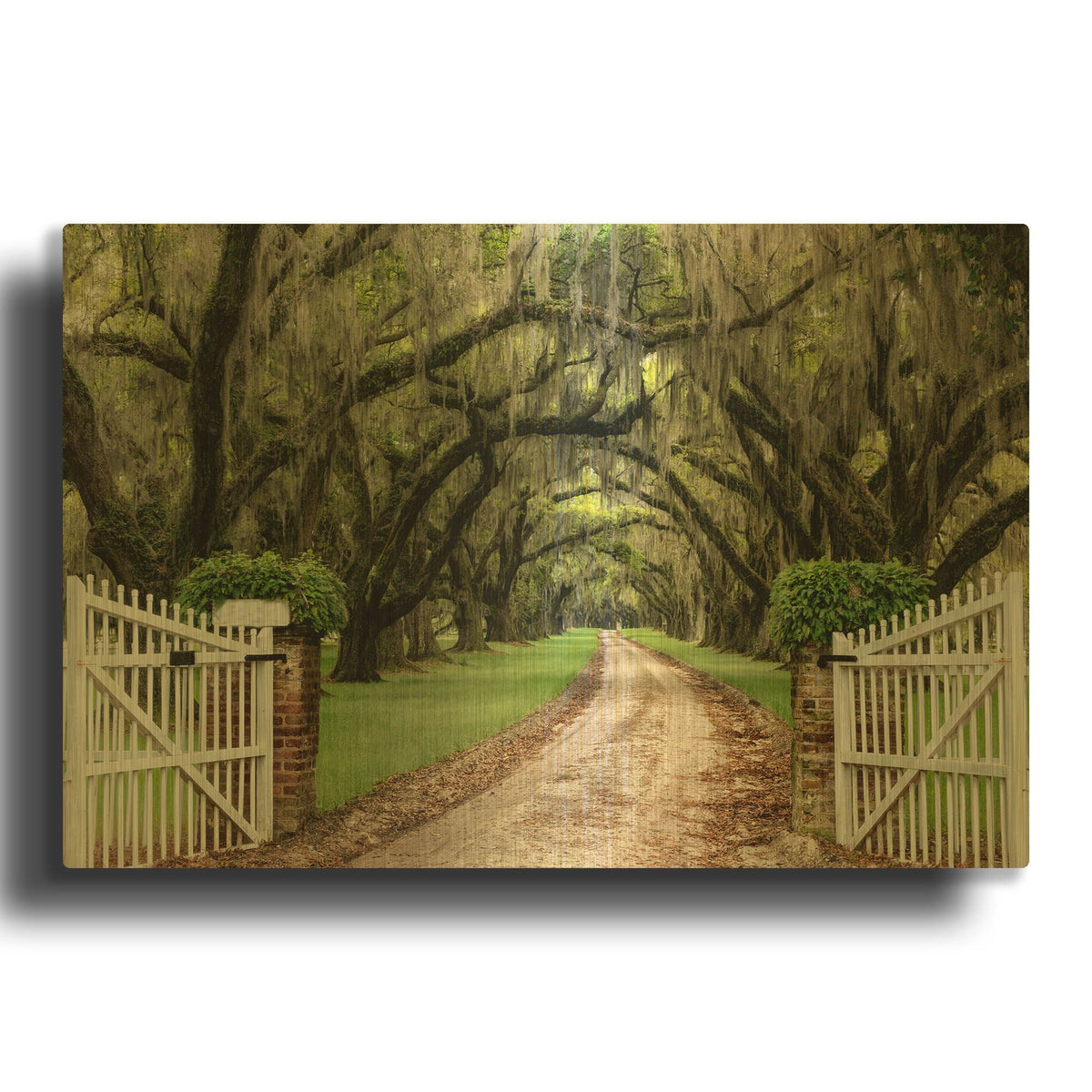 'Plantation Road' By Daniel Burt Gold Metal Wall Art