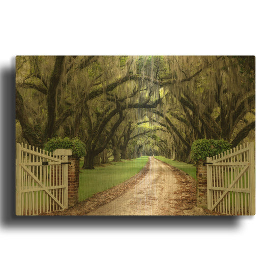 'Plantation Road' By Daniel Burt Gold Metal Wall Art