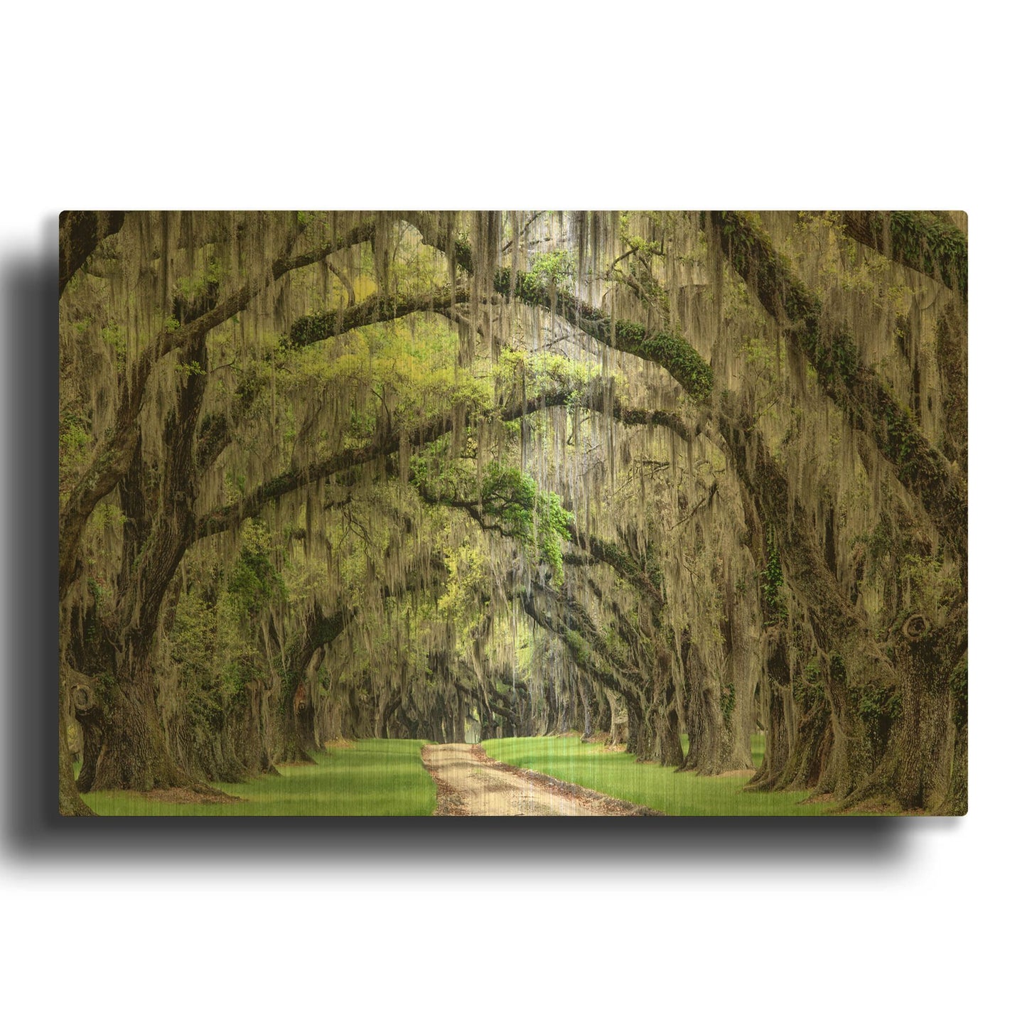 'The Old South' By Daniel Burt Gold Metal Wall Art