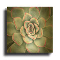 'Edged in Red' By Jan Bell Gold Metal Wall Art