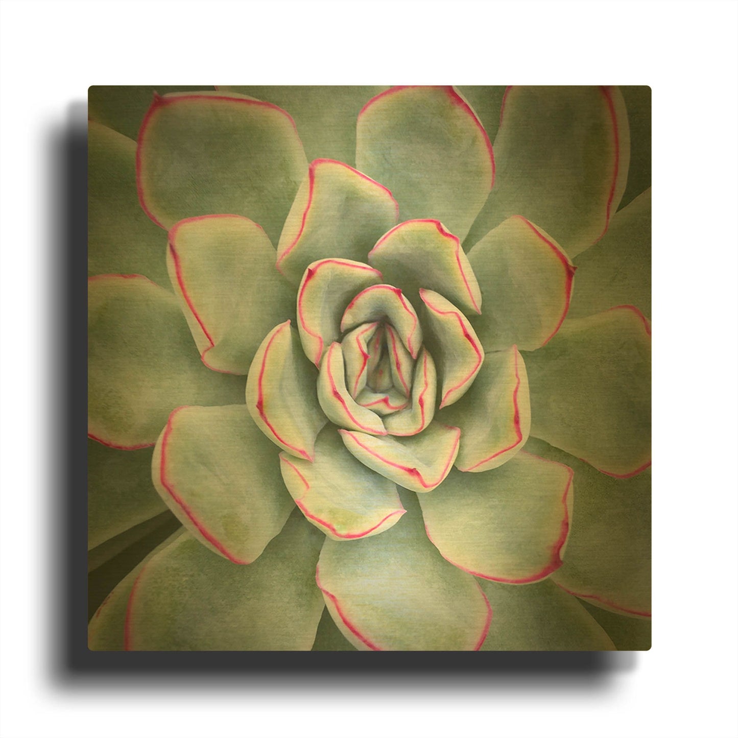 'Edged in Red' By Jan Bell Gold Metal Wall Art