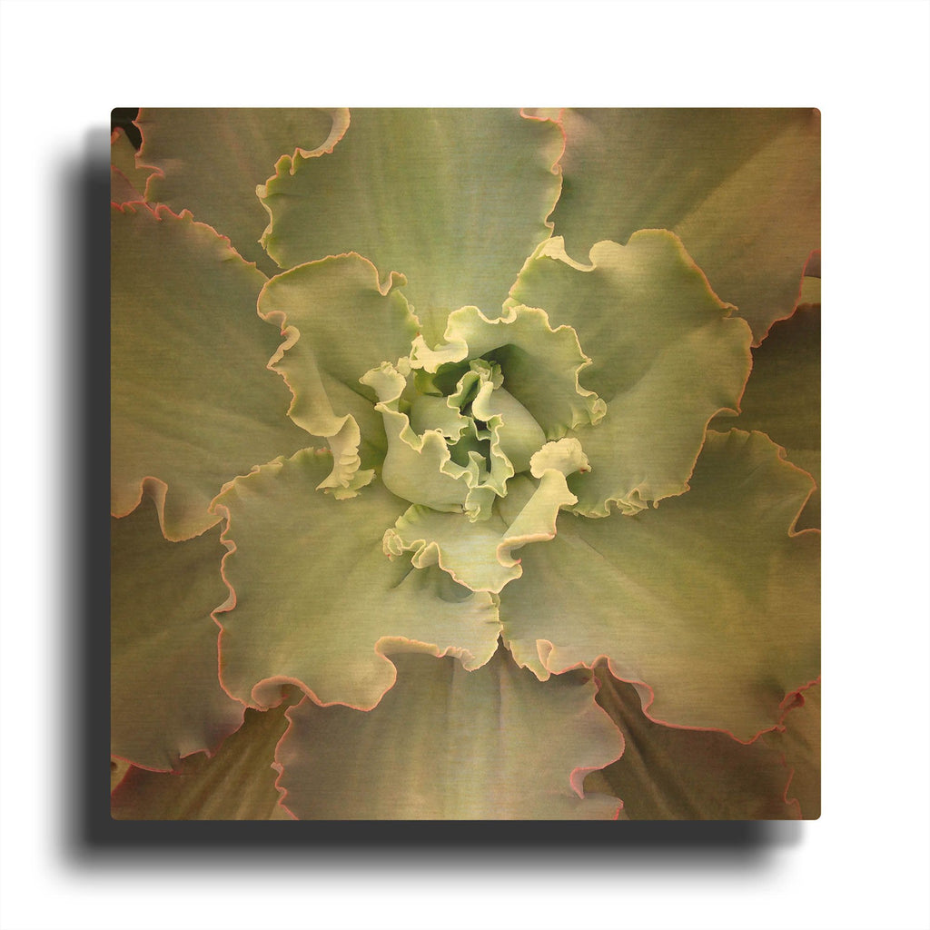 'Soft Petals' By Jan Bell Gold Metal Wall Art
