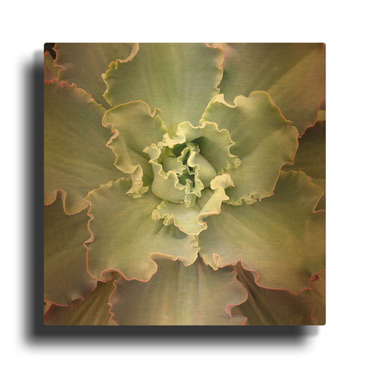 'Soft Petals' By Jan Bell Gold Metal Wall Art