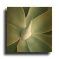 'Succulent Tip' By Jan Bell Gold Metal Wall Art