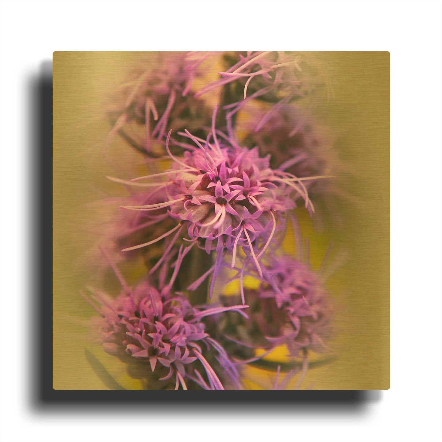 'Meadow Flowers' By Jan Bell Gold Metal Wall Art